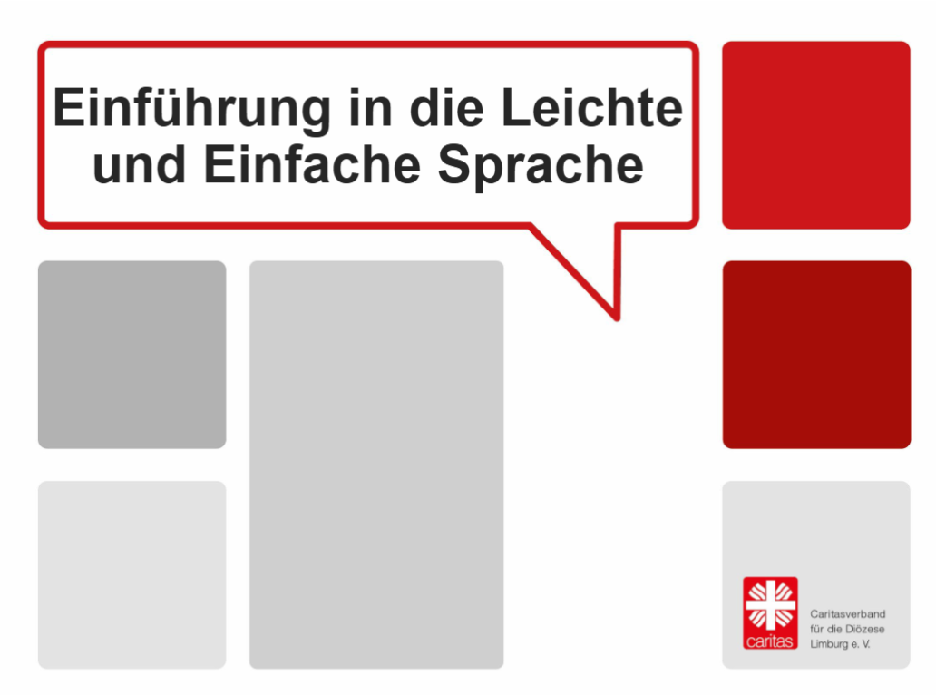 Kodex für KI-gestützte Übersetzung in Leichte Sprache Kodex für KI-gestützte Übersetzung in Leichte Sprache